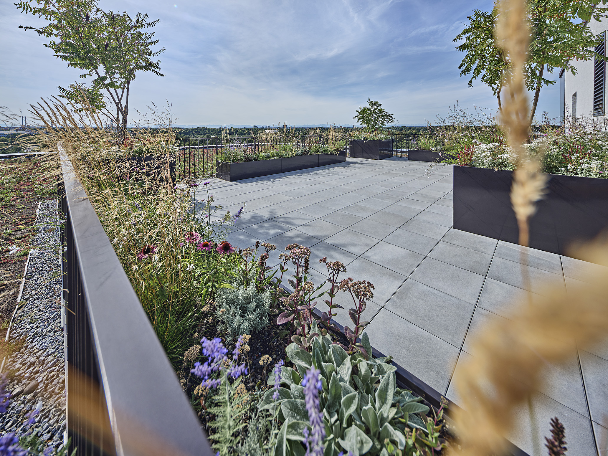 Oliv Architekten Ruedesheimer Buero Dachterrasse