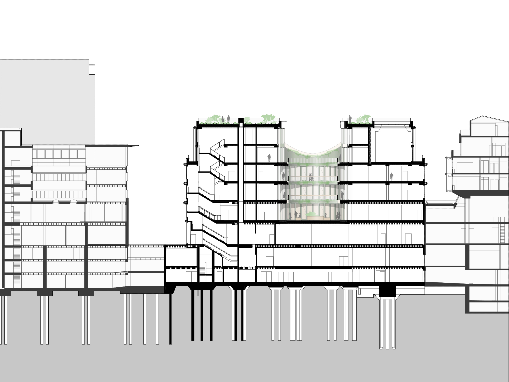 Oliv Architekten Koenigstrasse Querschnitt